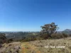 1237 Horton Road, Upper Horton, NSW 2347-Image