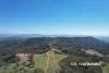 1237 Horton Road, Upper Horton, NSW 2347-Image