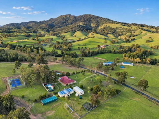 1237 Mirannie Road, Reedy Creek, NSW 2330