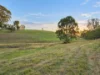 1237 Mirannie Road, Reedy Creek, NSW 2330-Image