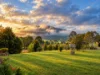 1237 Mirannie Road, Reedy Creek, NSW 2330-Image