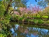 1237 Mirannie Road, Reedy Creek, NSW 2330-Image