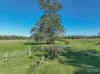 124 Burgmans Lane, Lansdowne, NSW 2430-Image