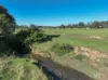 124 Burgmans Lane, Lansdowne, NSW 2430-Image