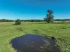 124 Burgmans Lane, Lansdowne, NSW 2430-Image