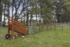 124 Marmo Lane, Marraweeney via, Strathbogie, Vic 3666-Image
