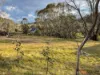 1242 Bobeyan Road, Shannons Flat, NSW 2630-Image