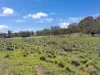 1242 Bobeyan Road, Shannons Flat, NSW 2630-Image