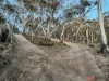 1242 Bobeyan Road, Shannons Flat, NSW 2630-Image