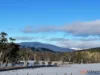 1242 Bobeyan Road, Shannons Flat, NSW 2630-Image