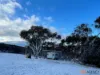 1242 Bobeyan Road, Shannons Flat, NSW 2630-Image