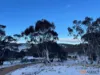 1242 Bobeyan Road, Shannons Flat, NSW 2630-Image