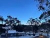1242 Bobeyan Road, Shannons Flat, NSW 2630-Image