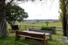 12436 Bruxner Highway, Tenterfield, NSW 2372-Image