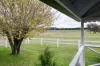 12436 Bruxner Highway, Tenterfield, NSW 2372-Image