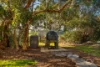 125 Brookmans Road, Blewitt Springs, SA 5171-Image