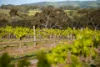 125 Brookmans Road, Blewitt Springs, SA 5171-Image