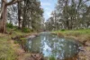 125 Holleys Lane, Gulgong, NSW 2852-Image