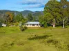 125 Westlea Road, Buchan, Vic 3885-Image