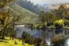 125 Westlea Road, Buchan, Vic 3885-Image
