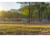 1253 Upper Ulam Road, Bajool QLD 4699-Image