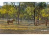 1253 Upper Ulam Road, Bajool QLD 4699-Image