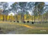 1253 Upper Ulam Road, Bajool QLD 4699-Image