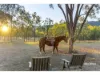 1253 Upper Ulam Road, Bajool QLD 4699-Image