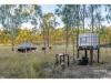 1253 Upper Ulam Road, Bajool QLD 4699-Image