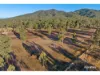 1253 Upper Ulam Road, Bajool QLD 4699-Image