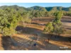 1253 Upper Ulam Road, Bajool QLD 4699-Image