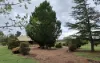 1254 Nant Park Road, Deepwater, NSW 2371-Image