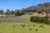 126 Mount Lofty Road, Orange, NSW 2800-Image