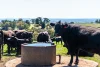 126 Mount Lofty Road, Orange, NSW 2800-Image