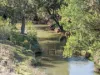 1260 Freestone Road, Freestone, Qld 4370-Image