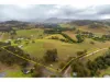 1262 Willina Road, Bunyah, NSW 2429-Image