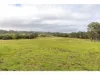 1262 Willina Road, Bunyah, NSW 2429-Image