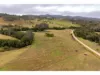 1262 Willina Road, Bunyah, NSW 2429-Image