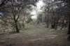 127 Millendale Road, Lower Boro, NSW 2580-Image