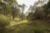 127 Millendale Road, Lower Boro, NSW 2580-Image