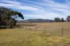 1271 Carlwood Road, O'Connell, NSW 2795-Image