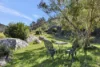 1273 Watagan Creek Road, Laguna, NSW 2325-Image