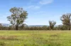1289 Carlwood Road, O'Connell, NSW 2795-Image