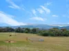 129 Jackas Lane, Kithbrook VIC 3666-Image