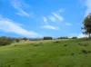 129 Jackas Lane, Kithbrook VIC 3666-Image