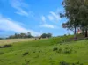 129 Jackas Lane, Kithbrook VIC 3666-Image
