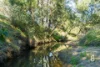 1293 Glendonbrook Road, Glendon Brook, NSW 2330-Image