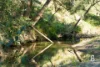 1293 Glendonbrook Road, Glendon Brook, NSW 2330-Image