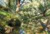 1293 Glendonbrook Road, Glendon Brook, NSW 2330-Image