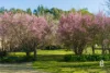 1293 Glendonbrook Road, Glendon Brook, NSW 2330-Image